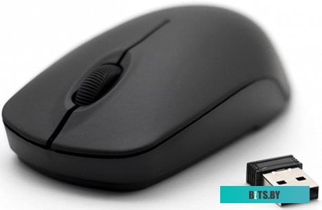 Мышь Ritmix RMW-506