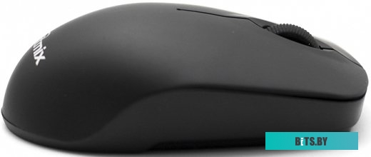 Мышь Ritmix RMW-506