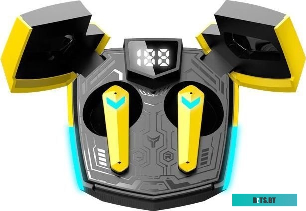 Беспроводные наушники Canyon Doublebee GTWS-2
