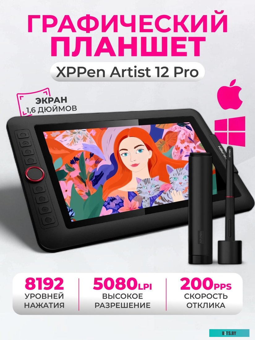 Графический планшет XP-Pen Artist 12 Pro