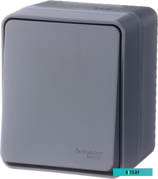 Выключатель Schneider Electric AtlasDesign ATN544061
