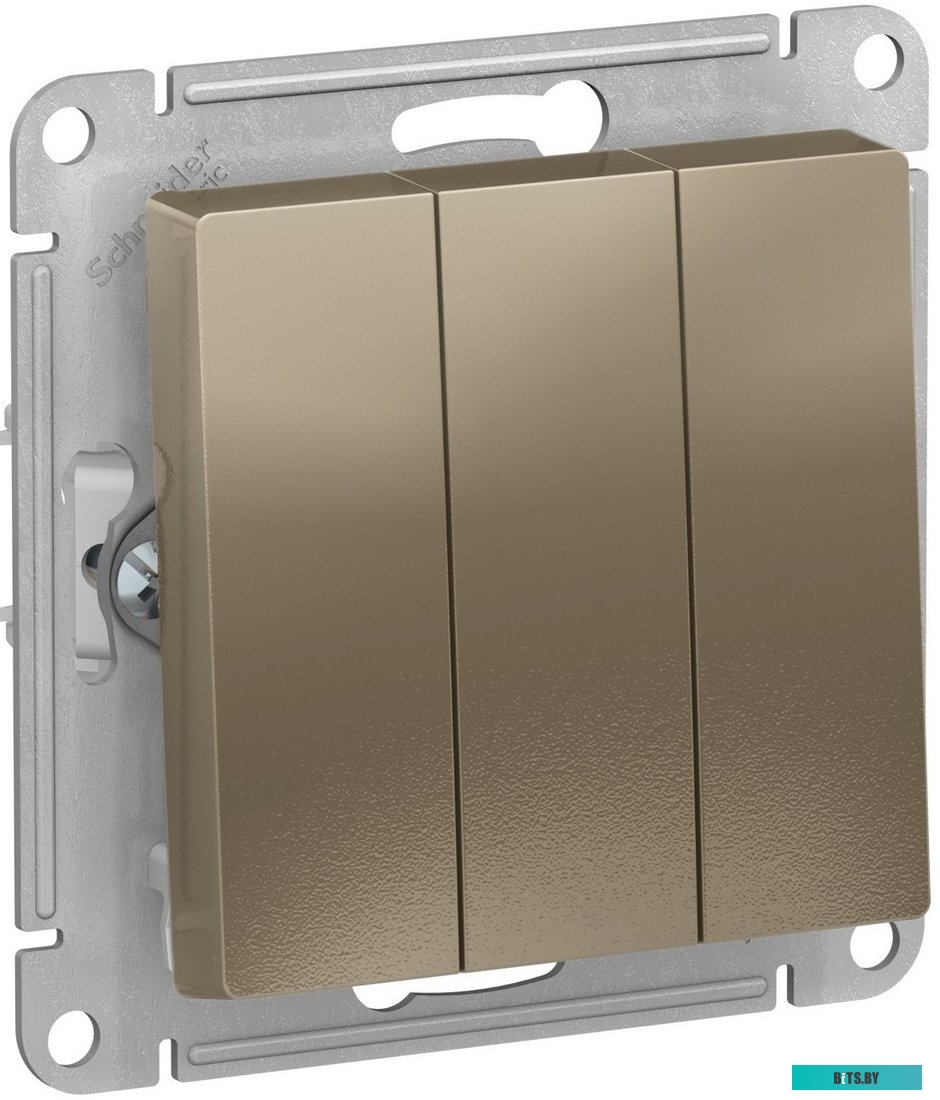 Розетка Schneider Electric AtlasDesign ATN000531