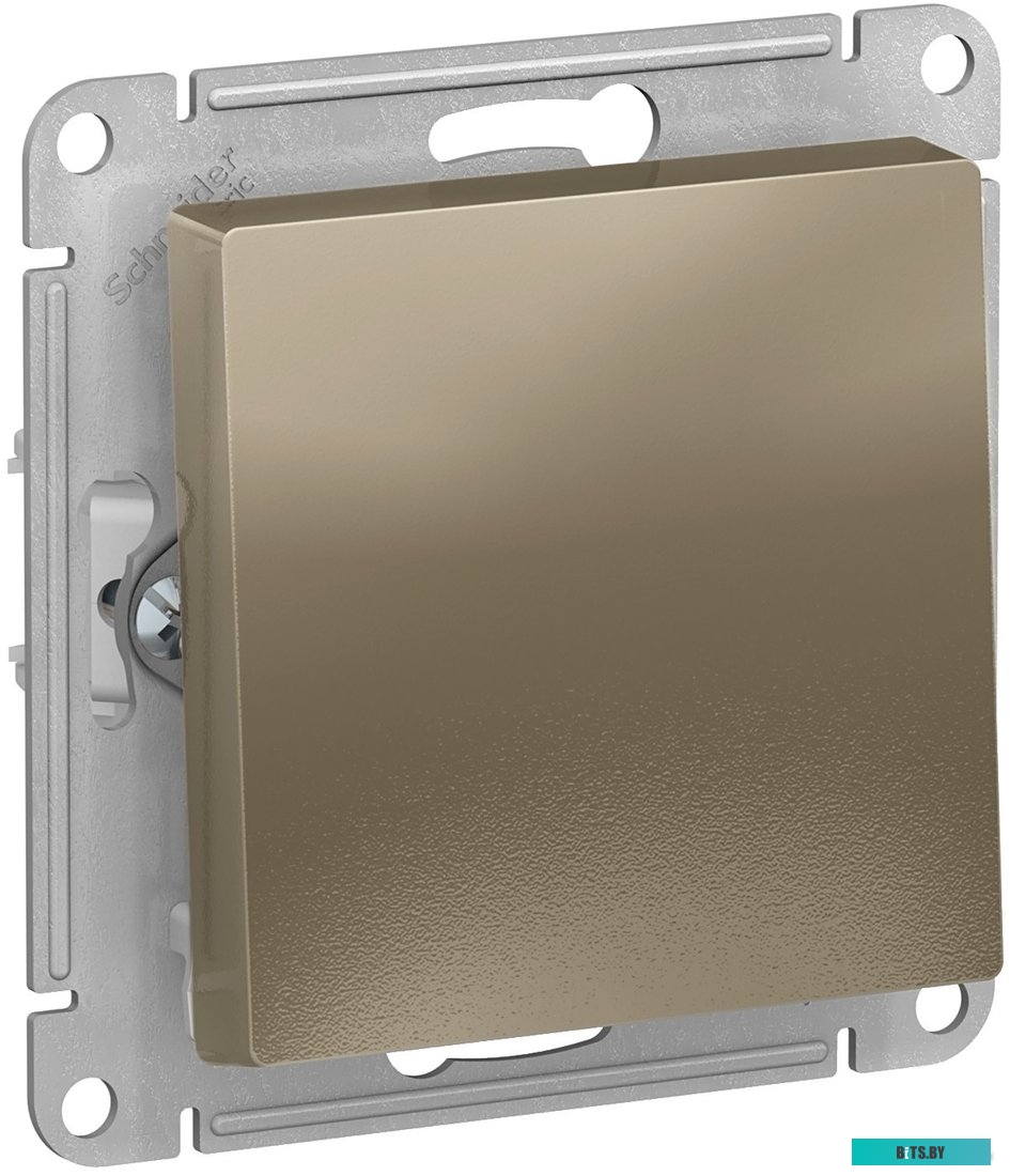 Розетка Schneider Electric ATN000511