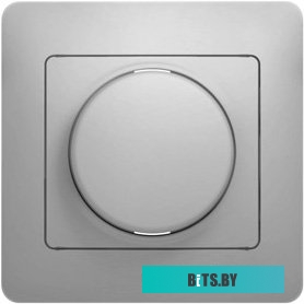 Розетка Schneider Electric Glossa GSL000334 (алюминий)