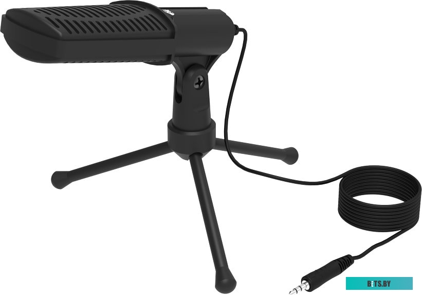 Микрофон Ritmix RDM-125