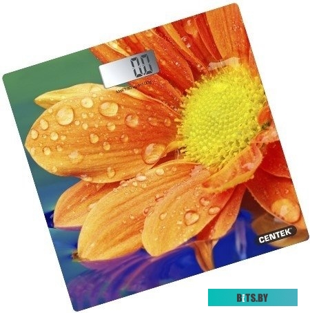 Напольные весы CENTEK CT-2420 Гербера