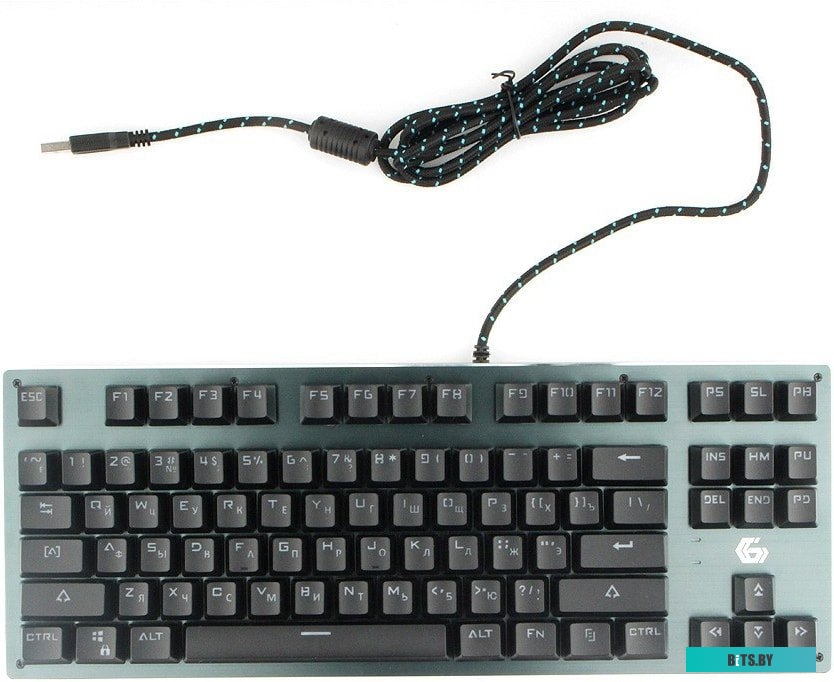 Клавиатура Gembird KB-G540L