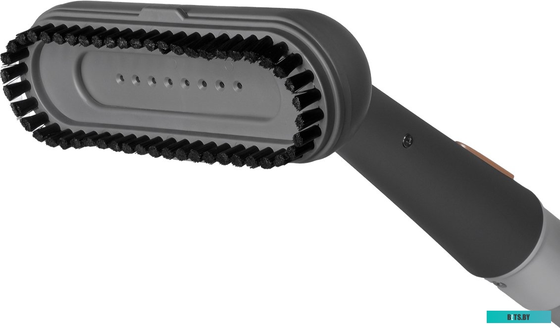 Пароочиститель Bort BDR-3000-RR <93722425>