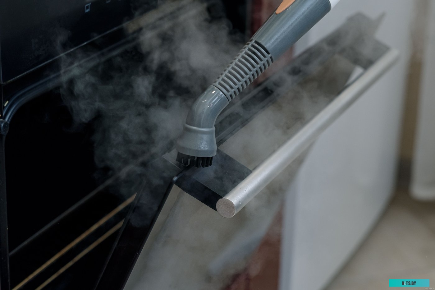 Пароочиститель Bort BDR-3000-RR <93722425>