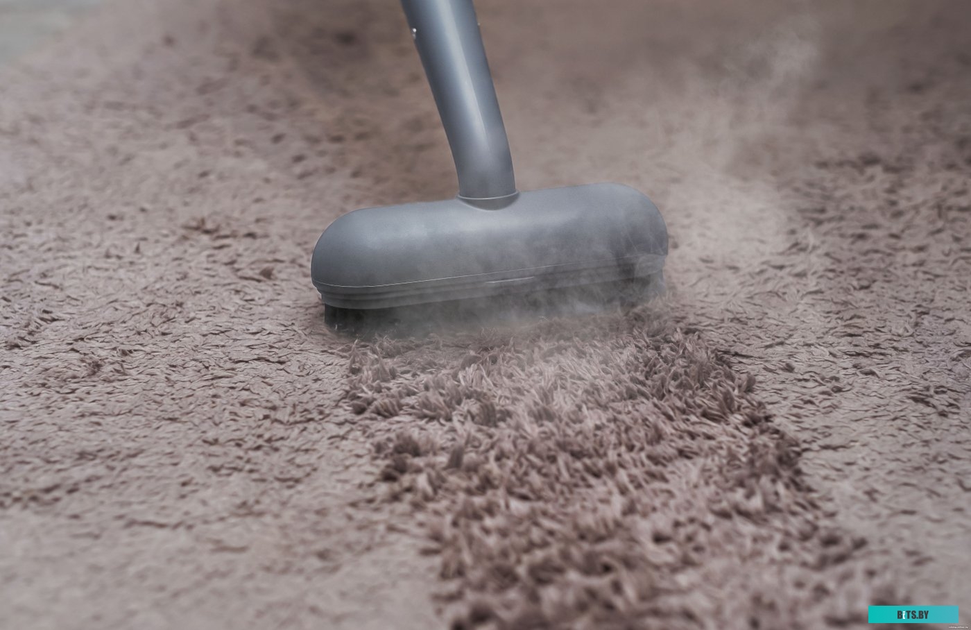 Пароочиститель Bort BDR-3000-RR <93722425>