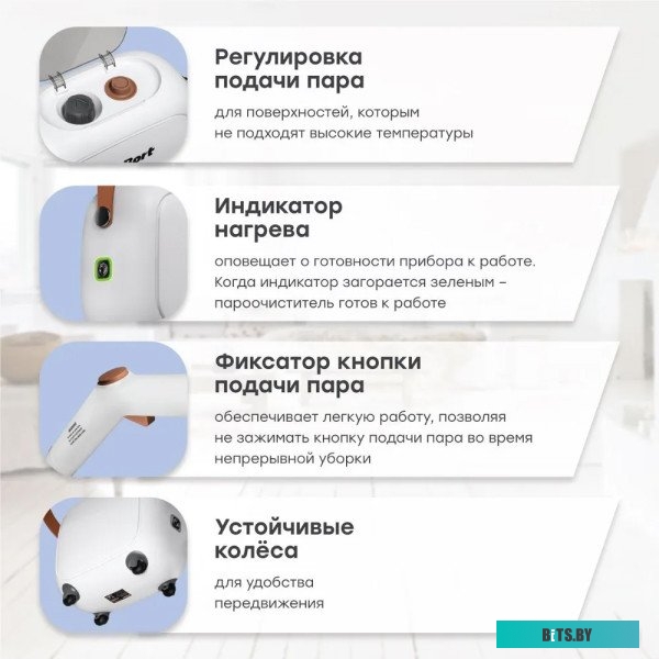 Пароочиститель Bort BDR-3000-RR <93722425>