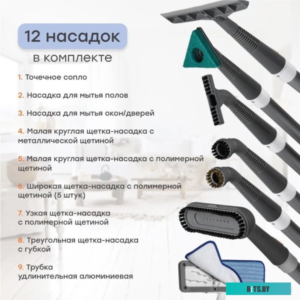 Пароочиститель Bort BDR-3000-RR <93722425>