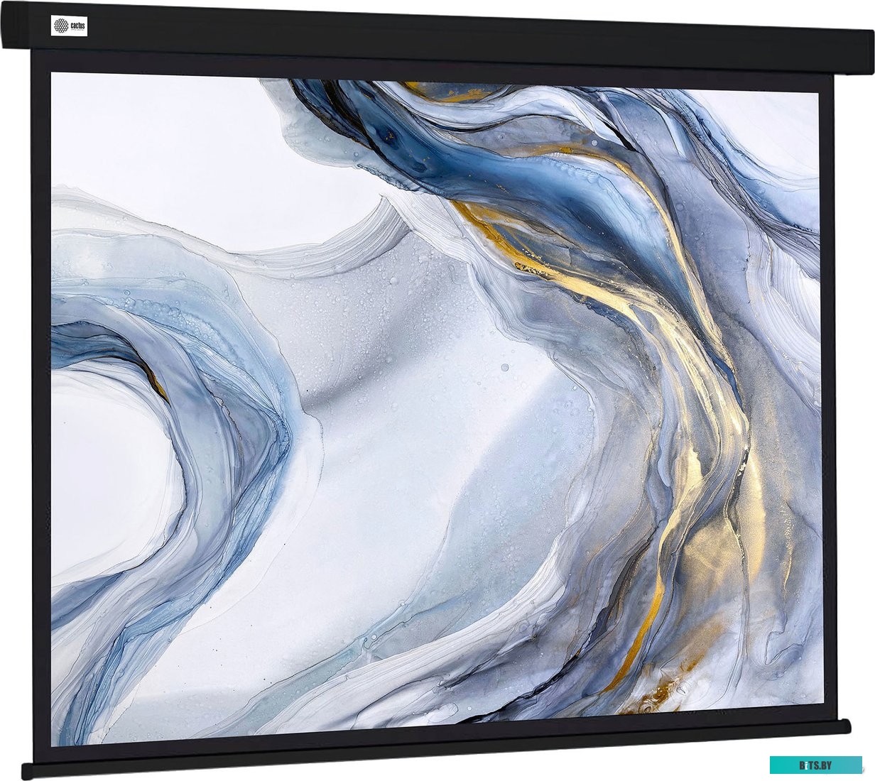 Экран для проекторов Cactus Wallscreen 180x180 CS-PSW-180X180-BK