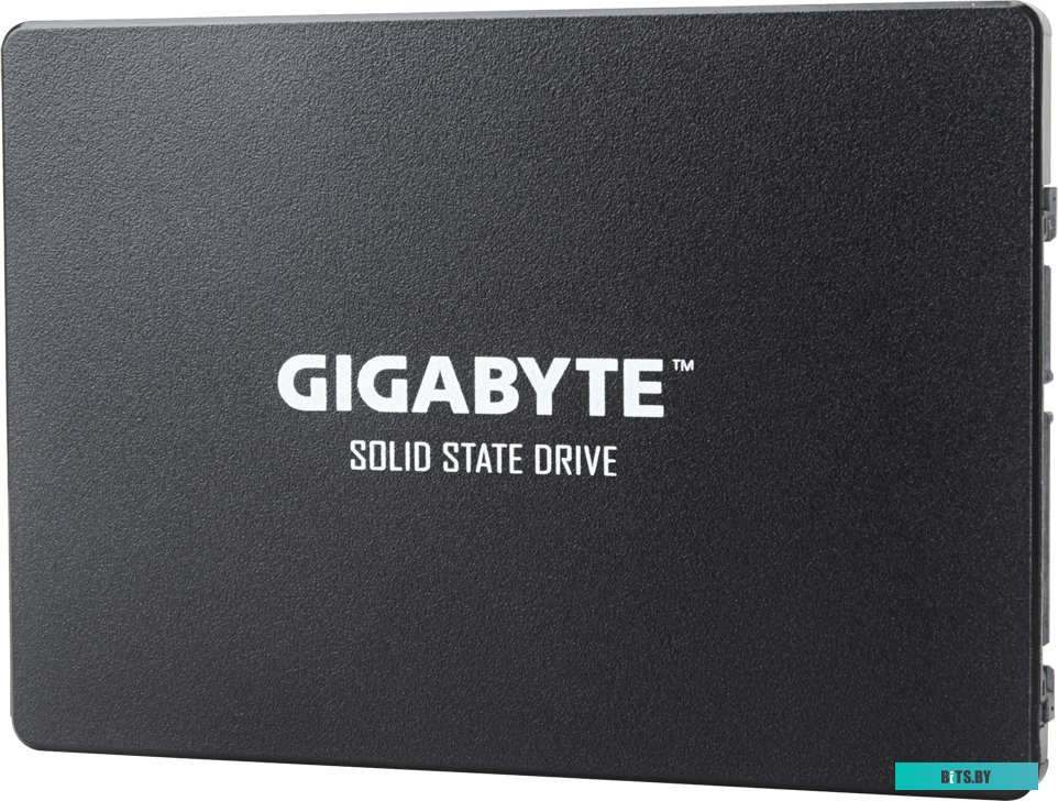 SSD Накопитель Gigabyte 256GB GP-GSTFS31256GTND