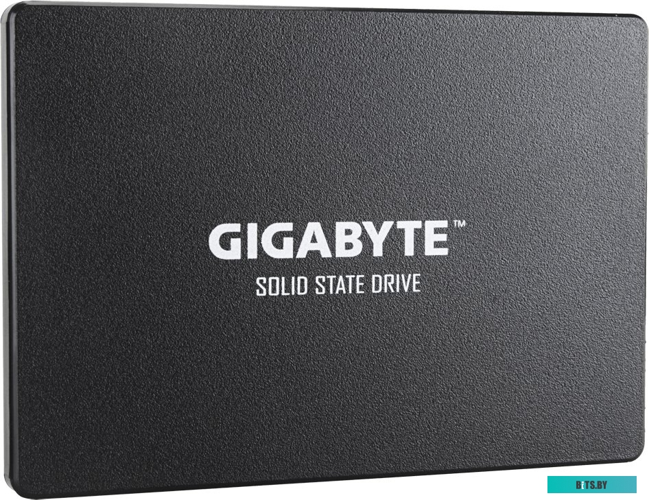 SSD Накопитель Gigabyte 256GB GP-GSTFS31256GTND