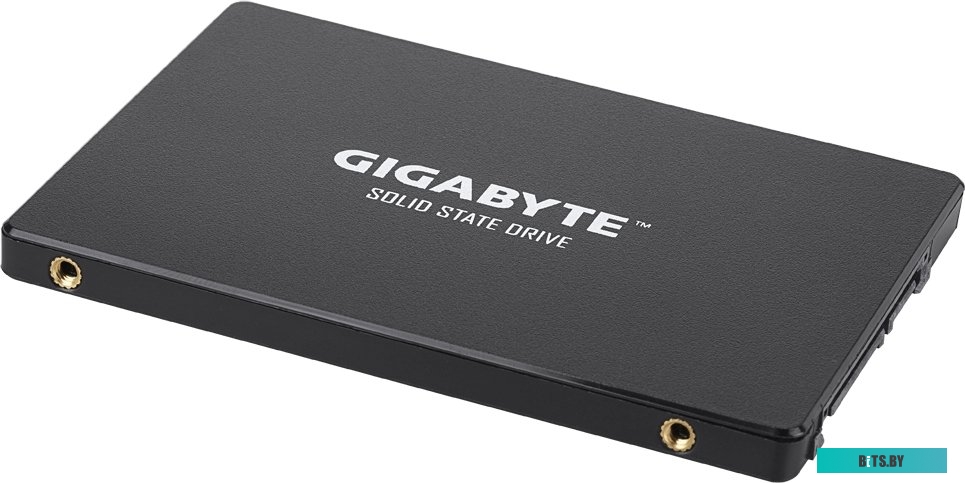 SSD Накопитель Gigabyte 256GB GP-GSTFS31256GTND