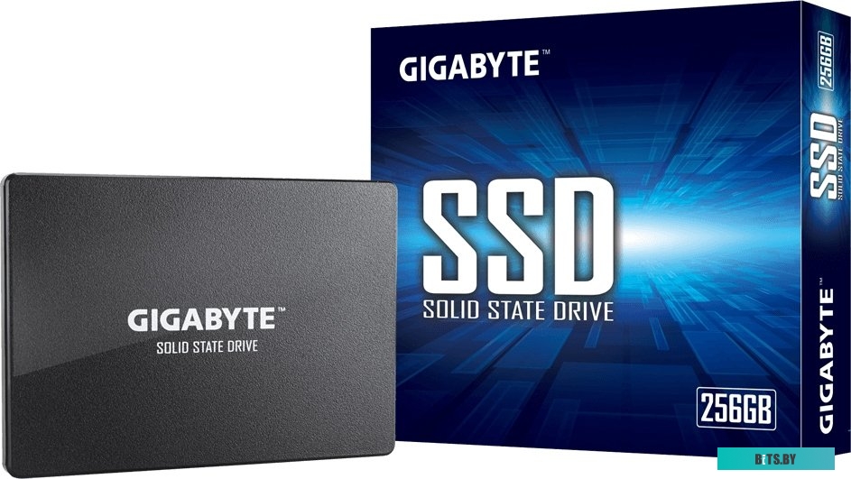 SSD Накопитель Gigabyte 256GB GP-GSTFS31256GTND