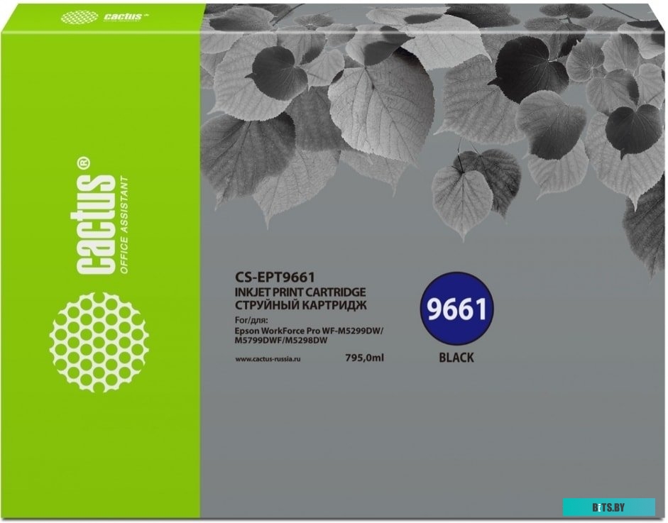 Картридж CACTUS CS-EPT9661 (аналог Epson C13T966140)