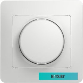 Розетка Schneider Electric Glossa GSL000134 (белый)