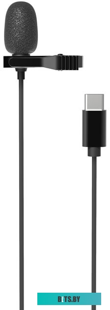Микрофон Ritmix RCM-210