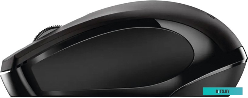Мышь Genius NX-8006S (черный) <31030024400>