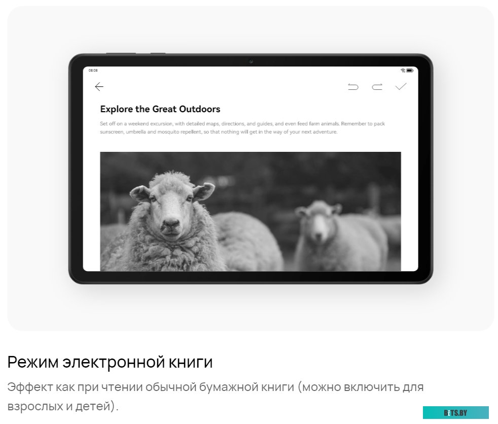 Планшет Huawei MatePad SE 10.4" AGS5-L09 4GB/64GB LTE (графитовый черный)