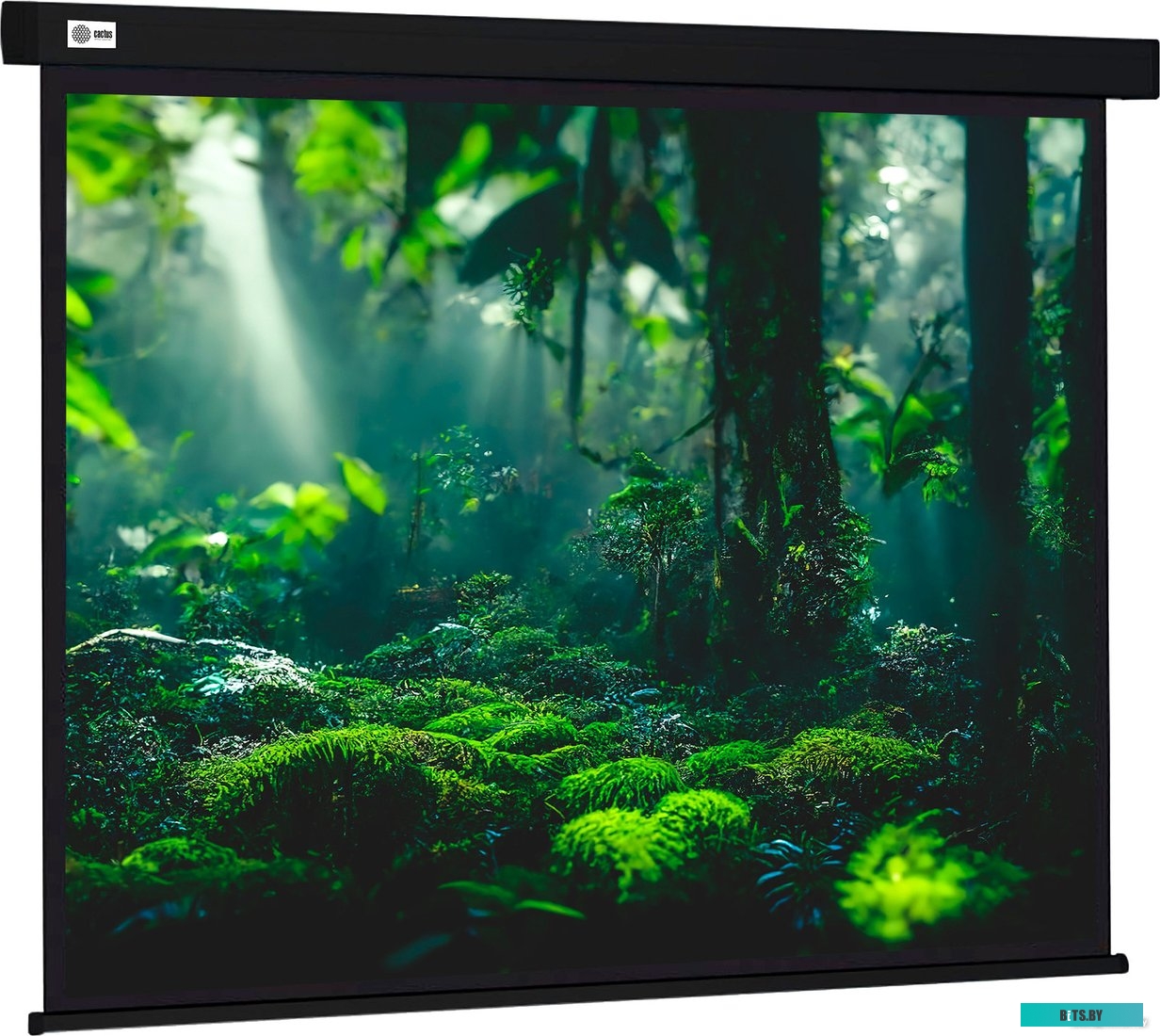Экран для проекторов Cactus 213x213см Wallscreen CS-PSW-213X213-BK