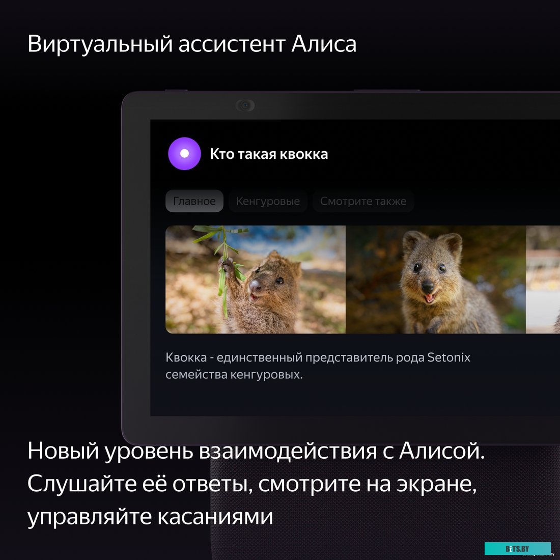 Умная колонка Яндекс Станция Лайт YNDX-00025 Чили