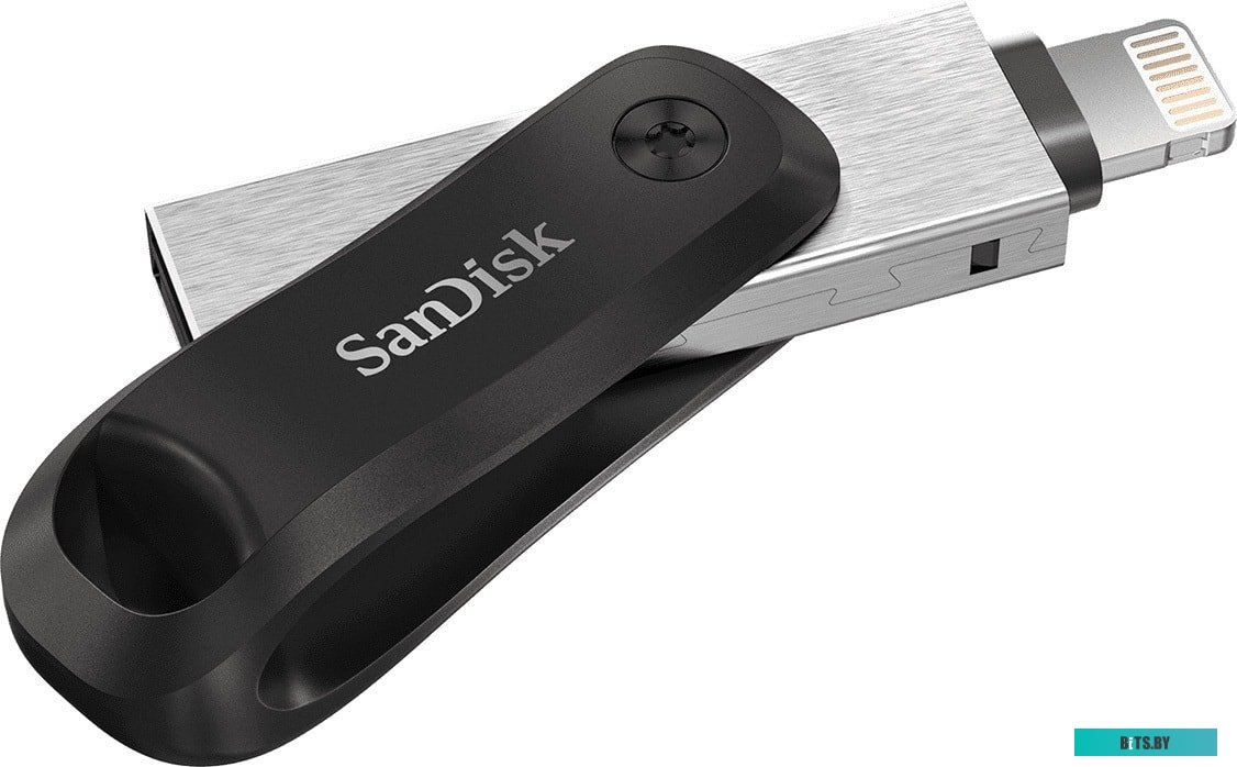 USB Накопитель (Флешка) SanDisk iXpand Go 64GB SDIX60N-064G-GN6NN