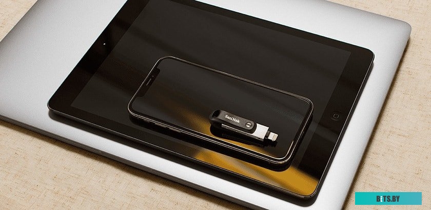 USB Накопитель (Флешка) SanDisk iXpand Go 64GB SDIX60N-064G-GN6NN