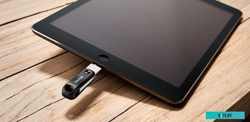USB Накопитель (Флешка) SanDisk iXpand Go 64GB SDIX60N-064G-GN6NN