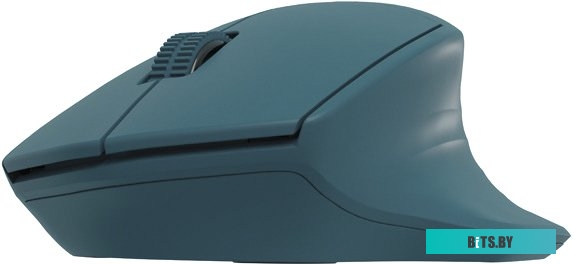 Мышь Natec Siskin 2 (бирюзовый) <NMY-1971>
