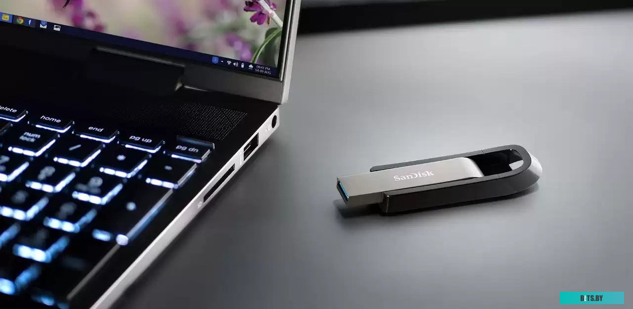 USB накопитель (Флешка) SanDisk Extreme Go 256GB <SDCZ810-256G-G46>