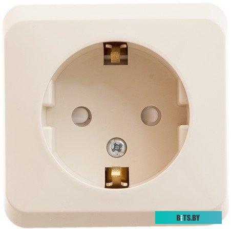 Розетка Schneider Electric Этюд PA16-004K