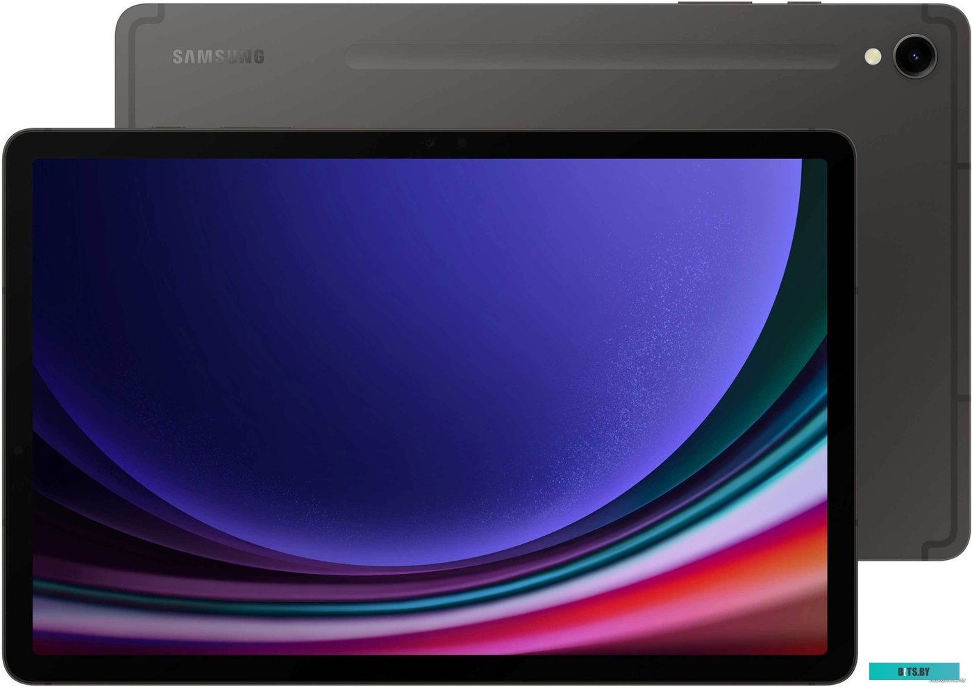 Планшет Samsung Galaxy Tab S9 11" 8/128Gb Wifi Gray SM-X710NZAA