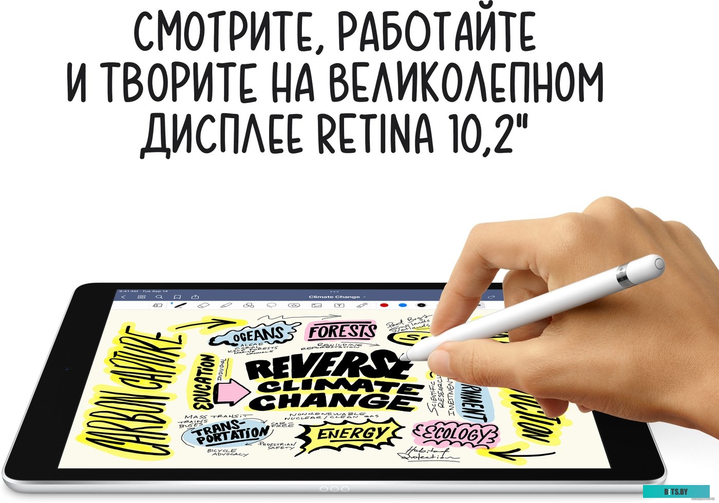 Планшет Apple iPad 10.2" 2021 256GB MK2N3 (серый космос)