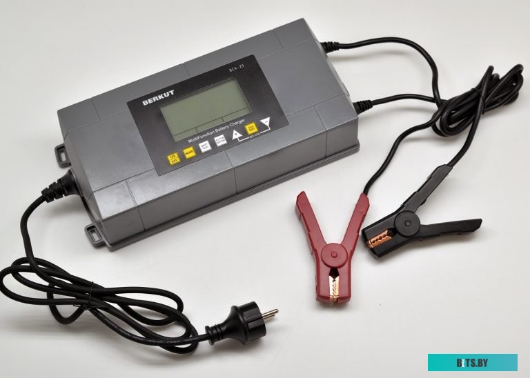Зарядное устройство Беркут BCA-25