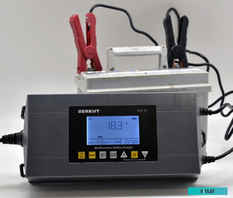 Зарядное устройство Беркут BCA-25