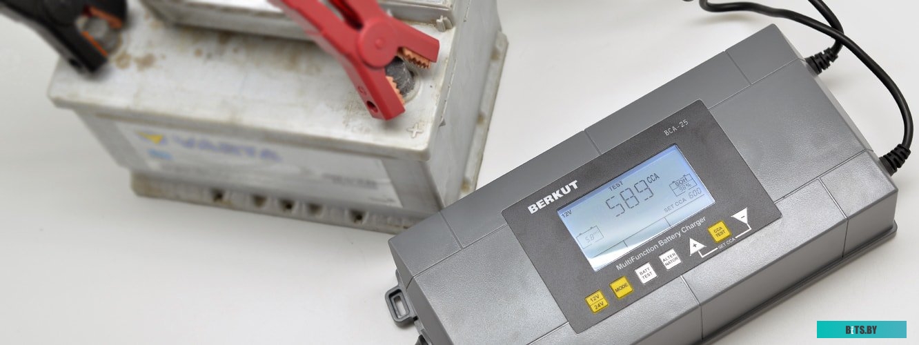Зарядное устройство Беркут BCA-25