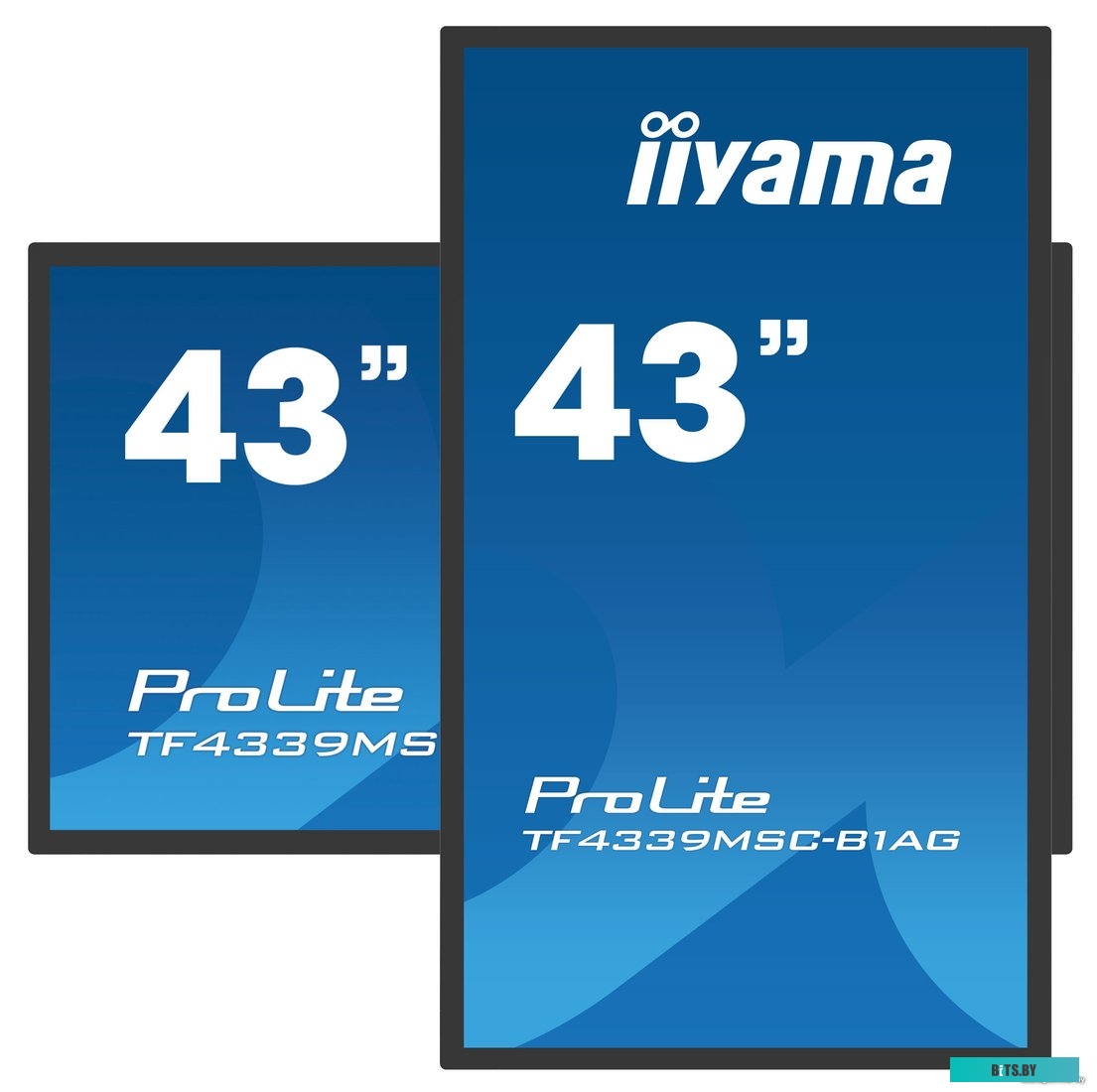 Интерактивная панель Iiyama ProLite TF4339MSC-B1AG