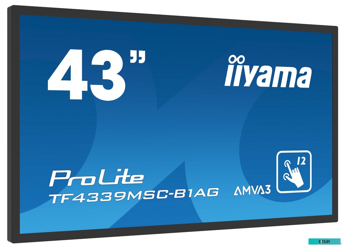 Интерактивная панель Iiyama ProLite TF4339MSC-B1AG