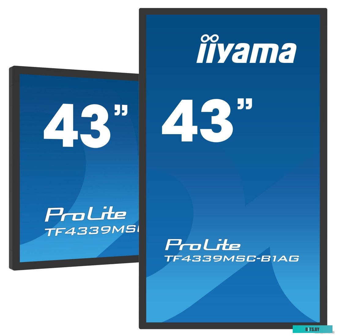 Интерактивная панель Iiyama ProLite TF4339MSC-B1AG
