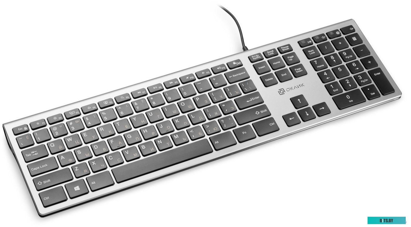 Клавиатура Oklick 890S (серебристый)