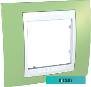 Розетка Schneider Electric Unica MGU6.002.863 (зеленое яблоко/белый)