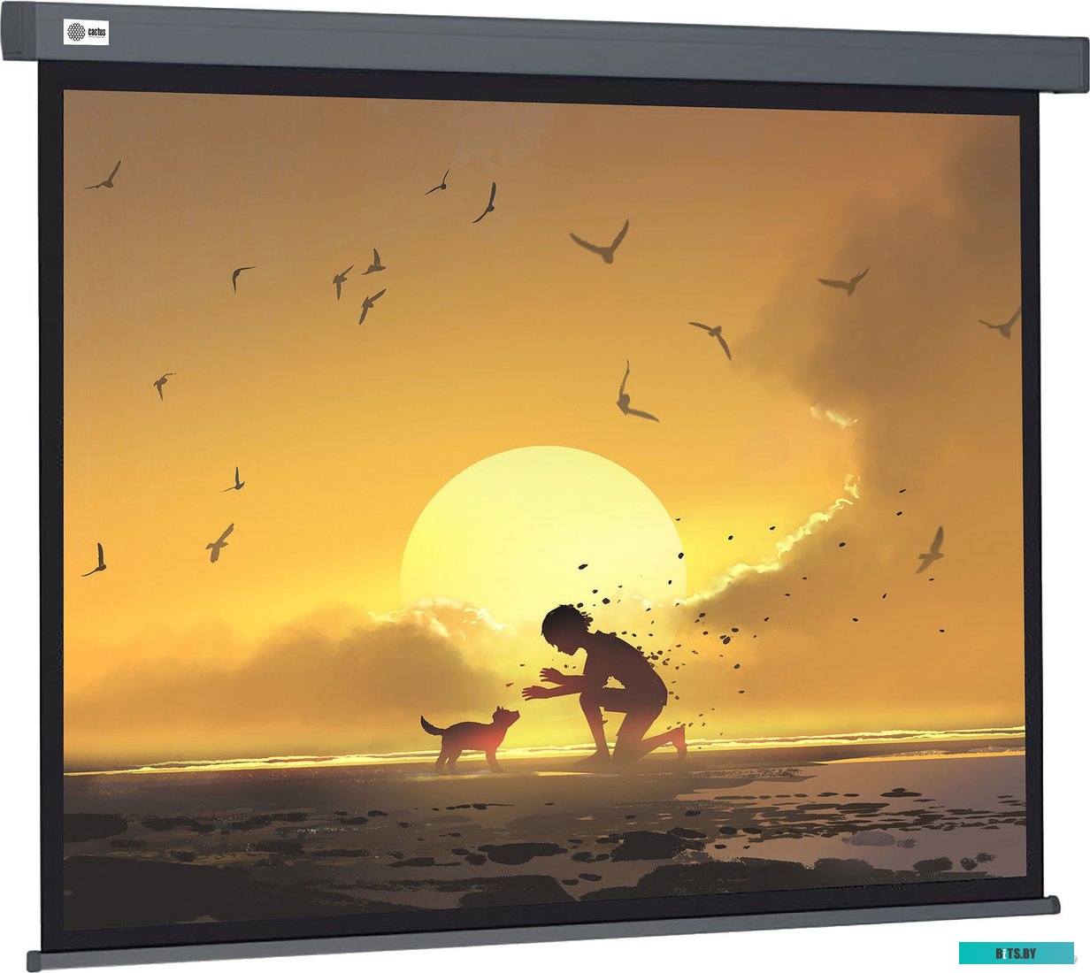 Экран для проекторов Cactus Wallscreen 124x221 CS-PSW-124X221-SG