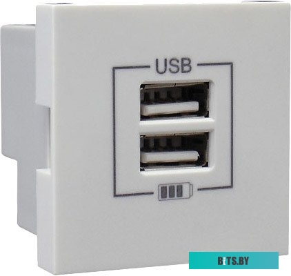 Розетка USB Efapel 45439 SBR