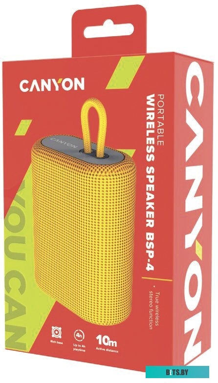Беспроводная колонка Canyon CNE-CBTSP4Y
