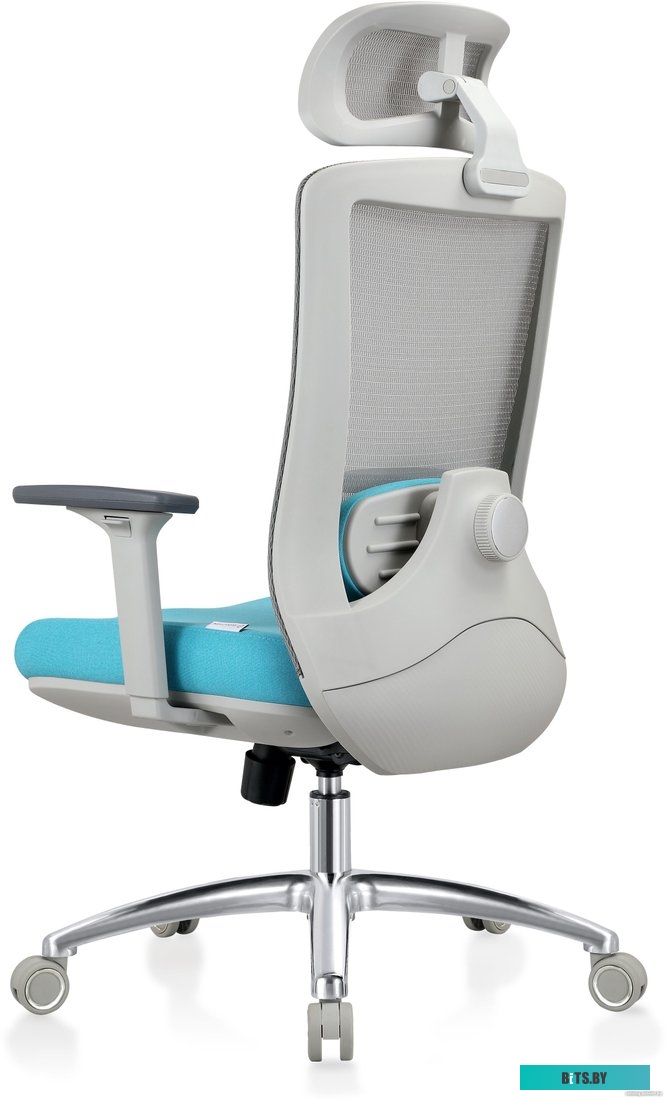 Кресло Evolution ERGO Prime Sky Blue (серый/бирюзовый)