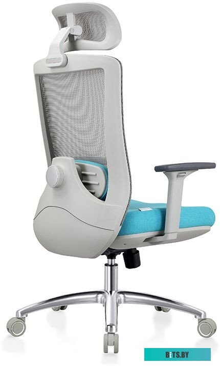 Кресло Evolution ERGO Prime Sky Blue (серый/бирюзовый)