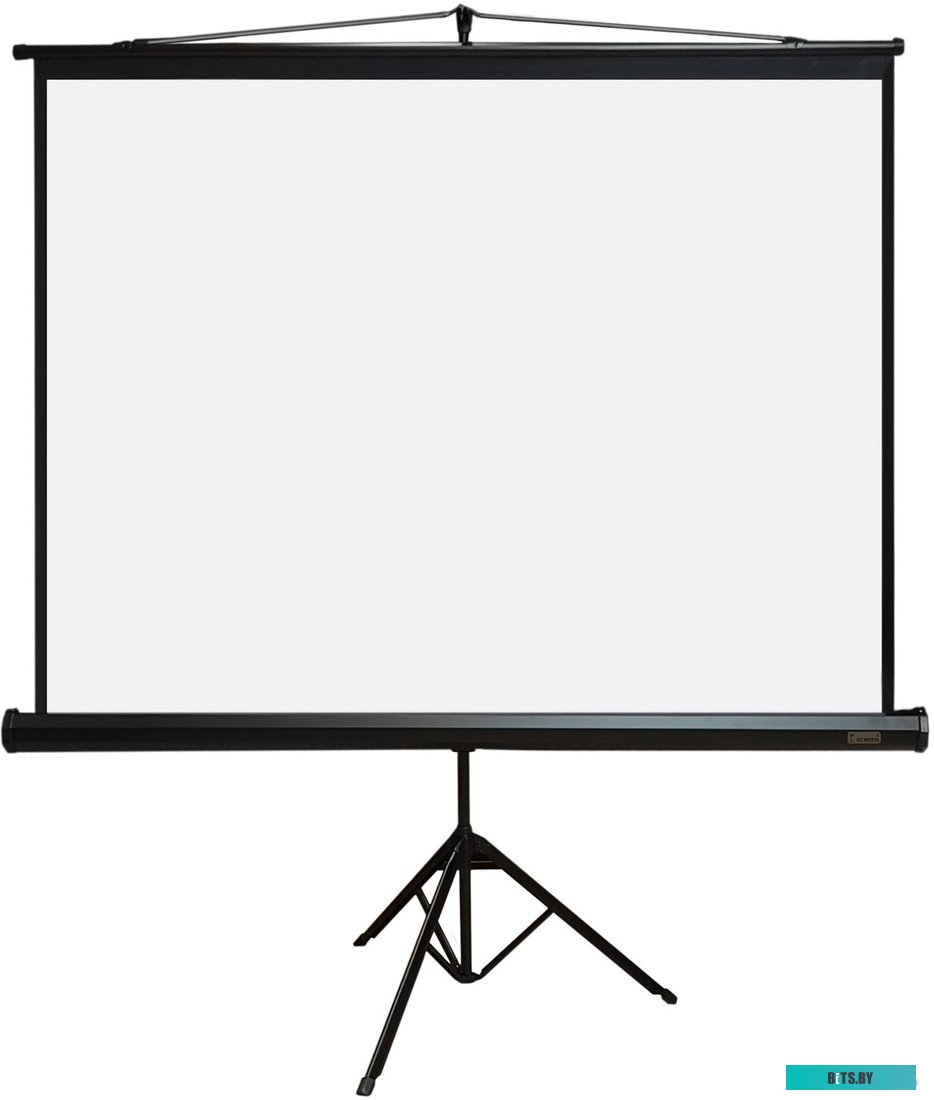 Экран для проекторов PL Magna TRM-NTSC-84D